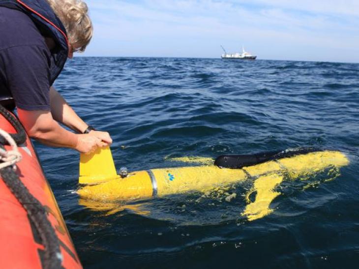 Coastal Scientist 